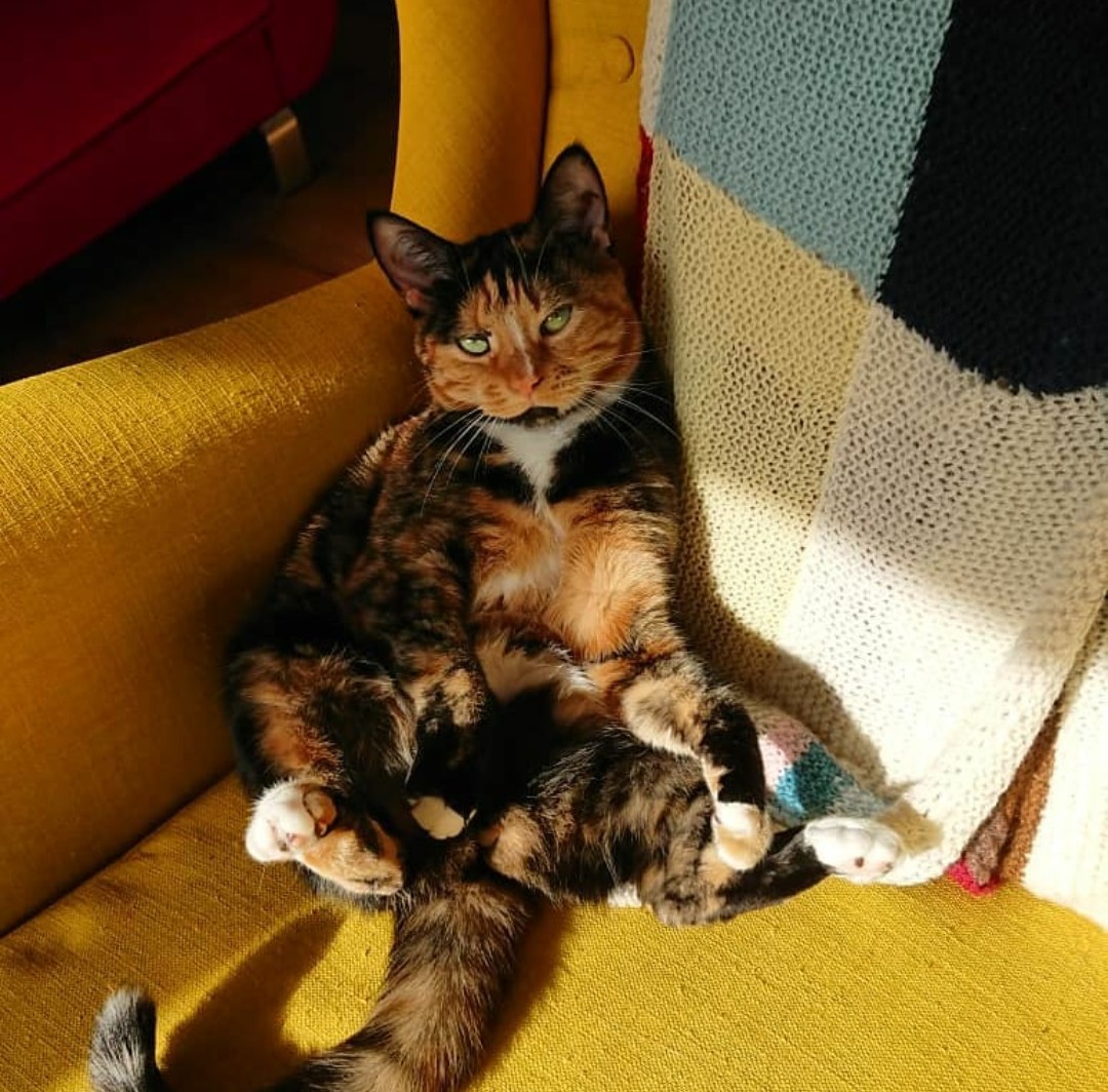 Witchcraft visual data 5