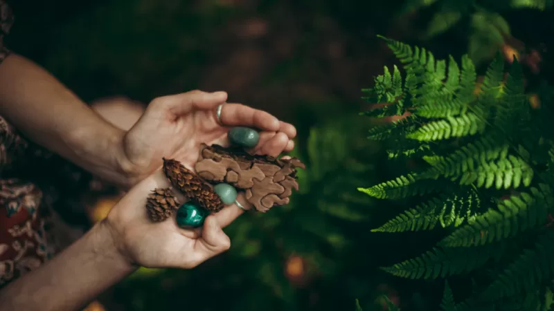 Autumn blessings and one week until The Wheel arrives