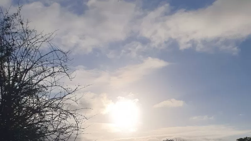 The witch's joy of knowing your "patch"