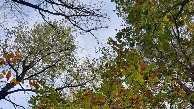 A witch’s guide to starting shadow work