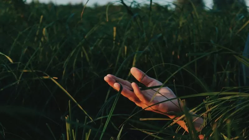 8 high-vibrational ways to live