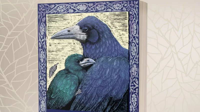 Your sneak-peek at Underwing 👀