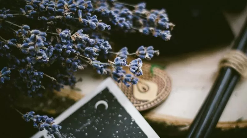 How (and when) to change your witchcraft path