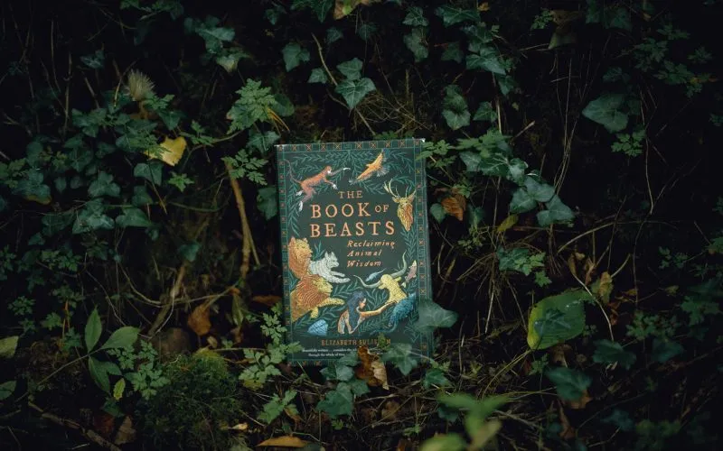 Exclusive interview: The Book of Beasts