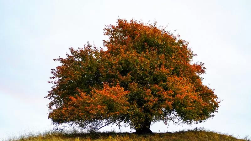 A blessing to welcome the equinox