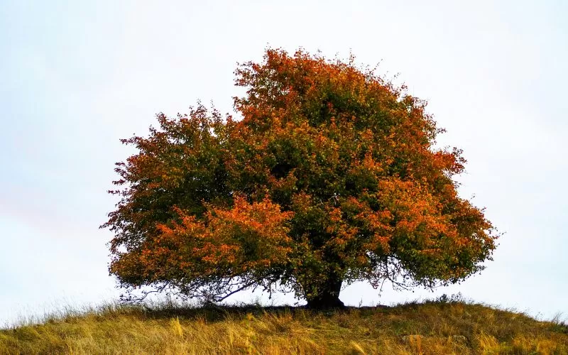 A blessing to welcome the equinox